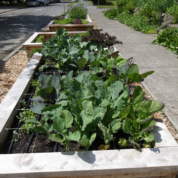 Wallingford Vegetable Beds