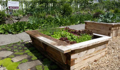 How to Build a Raised Bed for Your Veggies and Plants