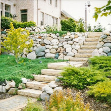 Patio Landscape