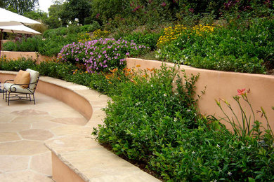 Photo of a traditional landscaping in Santa Barbara.
