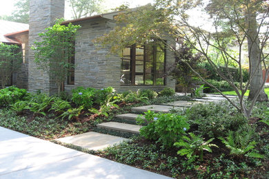 Design ideas for a transitional landscaping in Dallas.