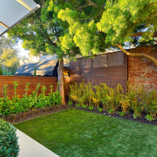 Ispirazione per un piccolo giardino formale design dietro casa con un giardino in vaso