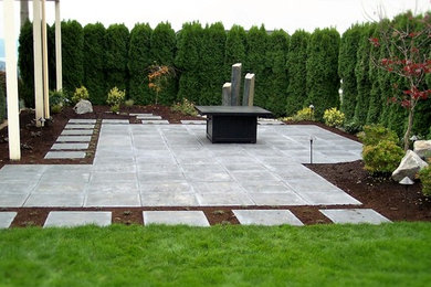 Пример оригинального дизайна: участок и сад на заднем дворе в современном стиле с мощением тротуарной плиткой