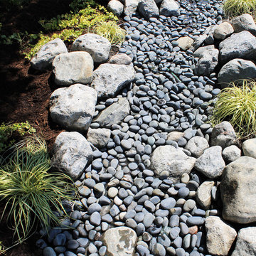 Water and Stone, Dry Riverbed Garden