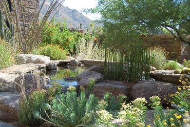 Inspiration for a southwestern landscaping in Phoenix.