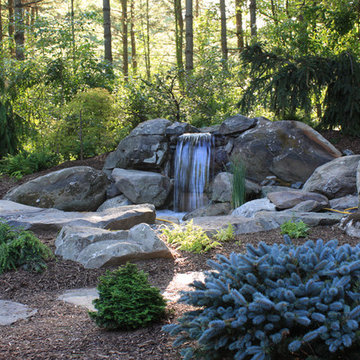 Water Fall and Japanese Garden