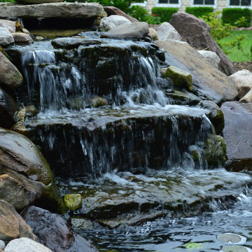 Water Feature and Planting Design - Waldorf, MD