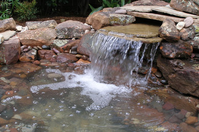 Exemple d'un jardin exotique avec une cascade.