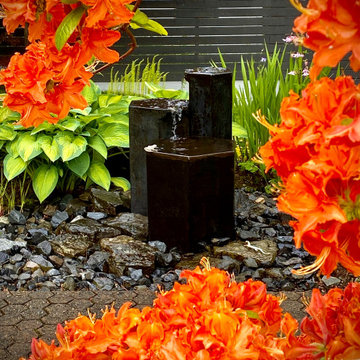 Water Feature