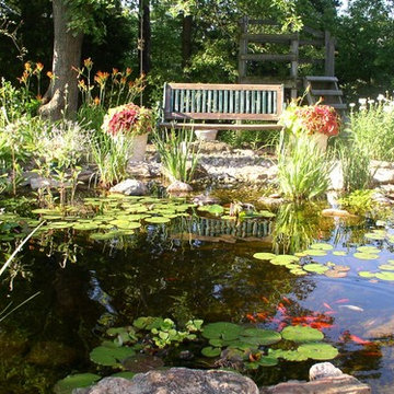 Water Features and Ponds