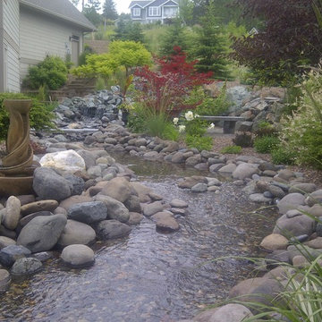 Water Features & Ponds