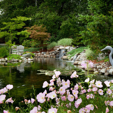 Water Features and Swimming Ponds