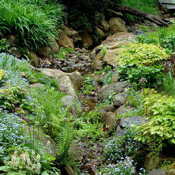 Water Features & Wet Gardens