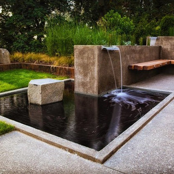 Water Features and Yard