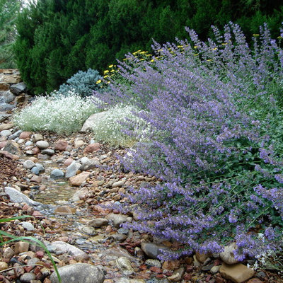 Design ideas for a traditional backyard water fountain landscape in Denver.