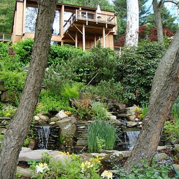 Water Features
