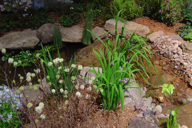 Imagen de jardín de tamaño medio con fuente