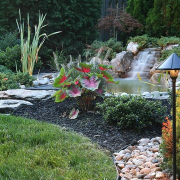 Water Features