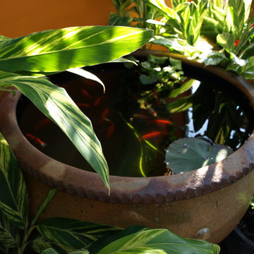 Water Features ponds and pots