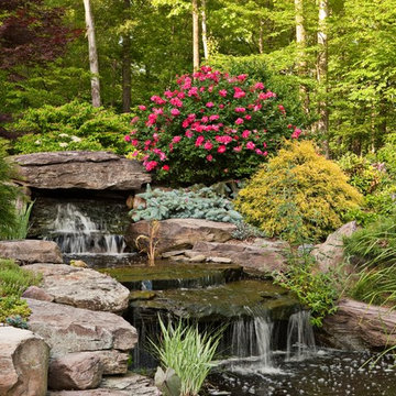 Water Features : Ponds, Waterfalls & Fountains