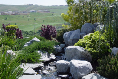 Cette image montre un jardin arrière traditionnel de taille moyenne avec un point d'eau.