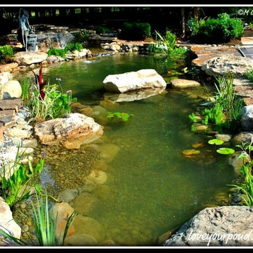 Water Garden Koi Pond by Full Service Aquatics in Bedminster, NJ