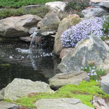Water garden koi pond in Connecticut