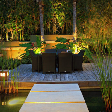 Water Garden Oasis