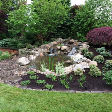 Water Gardens: Pond & Waterfall for Birds & Fish