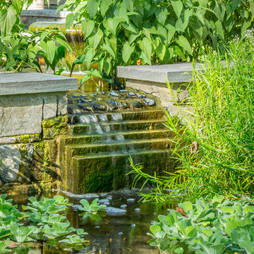 Water-Harvesting Fish Ponds