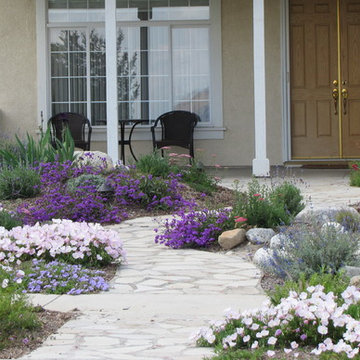 Water-Wise Front Yard
