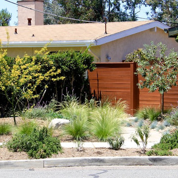 Water Wise Landscape Refresh (Clairemont Mesa)