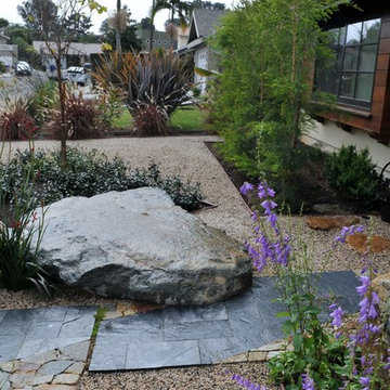 Water-Wise Landscaping