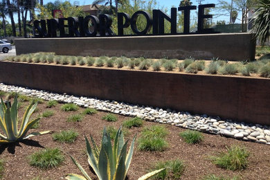 Moderner Garten mit direkter Sonneneinstrahlung und Mulch in San Diego