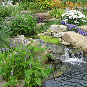 Waterfall and garden pond