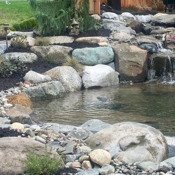 Waterfall and Koi Pond