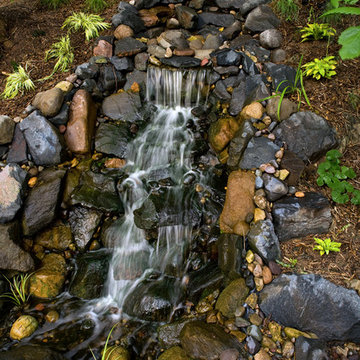 Waterfall – Backyard National Forest