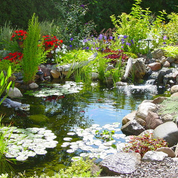 Waterfall Fish Pond, Aquascape Ecosystem Water Garden by Acorn of Rochester, NY
