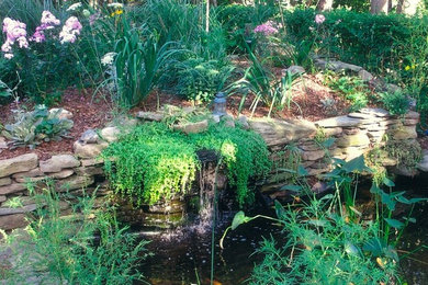 Foto de jardín tropical de tamaño medio en patio trasero con estanque y adoquines de piedra natural