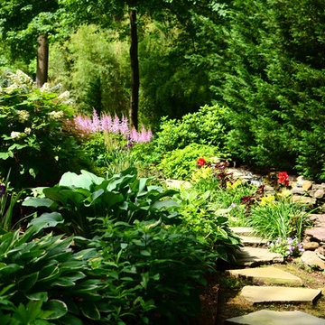 Waterfall Koi Pond & Oasis