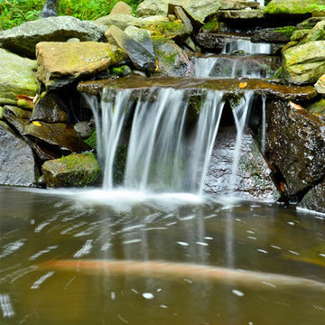 Waterfall | Koi Pond | Thornwood NY