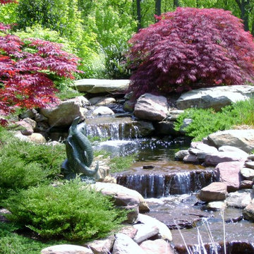 Waterfalls and Koi Ponds at Annapolis Residence