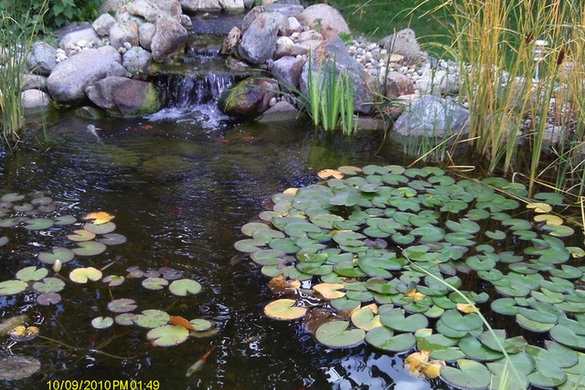 Dynasty Gardens - Papillion, NE, US 68046 | Houzz