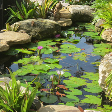 Watergarden koi pond