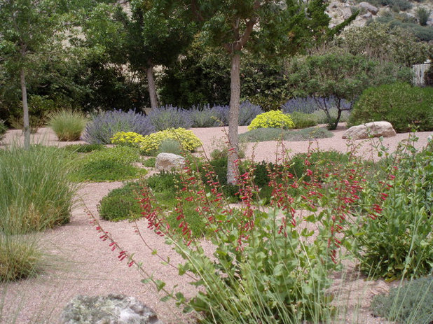 Eclectic Landscape by Waterwise Landscapes Incorporated