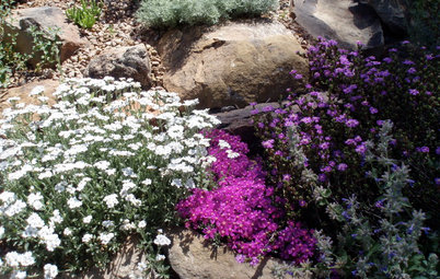 Jardines sostenibles: Por qué los jardines de roca son tendencia