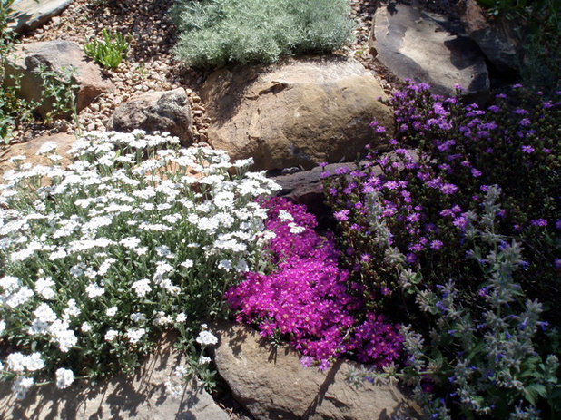 Ecléctico Jardín by Waterwise Landscapes Incorporated