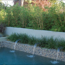 Landscaping/pool ideas
