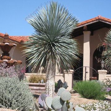 Welcome Home from Sonoran Gardens!