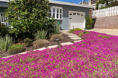 サンディエゴにあるお手頃価格の小さなビーチスタイルのおしゃれな庭 (ゼリスケープ、日向) の写真